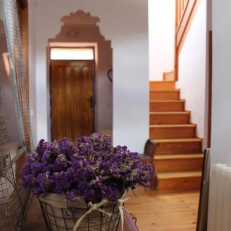 Country house La Casona De Castilnovo - Gay Men Only Valdesaz